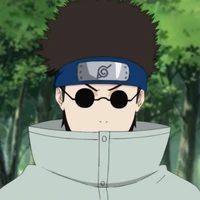 Shino-C