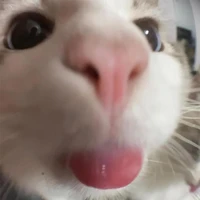 ออออ แอดด
