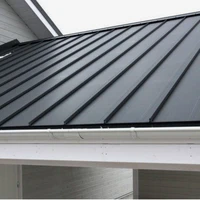 หลังคา(roof)