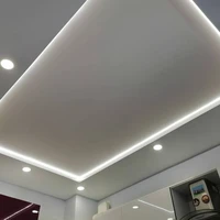 เพดาน(Ceiling)
