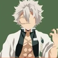 sanemi shinazugawa