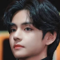 Kim Taehyung ( bi)
