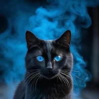 Gato