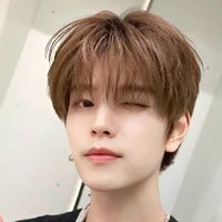 Kim Seungmin ( 21 ans, oméga, riche )