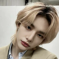 Hwang Hyunjin ( 26 ans, Alpha, Mafia)