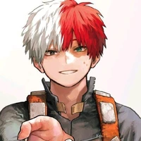 Shoto Todoroki (A)