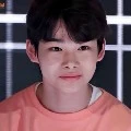revan Kecil