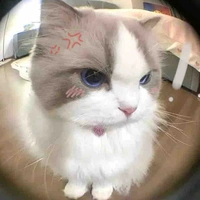 ทาโร่