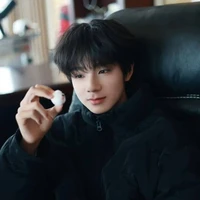 Wang Lujie