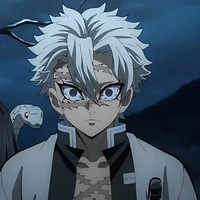 ชินาสึกาวะ ซาเนมิ