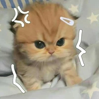 แอดเอง