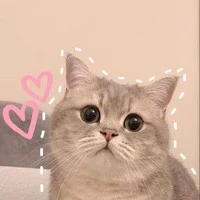 แอดเอง
