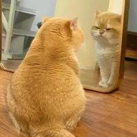 แอด