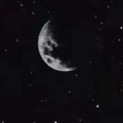 ????