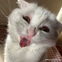 แอด