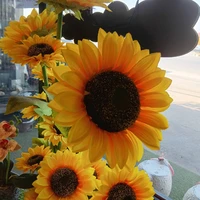 ดาว(แม่ของซุง)