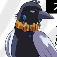 Y/N’s Crow