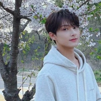 Wen Junhui