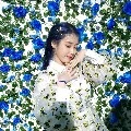 IU