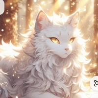 pitou gato