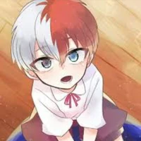 🤍❤Shoto🤍❤12 años\???\