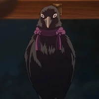 corvo