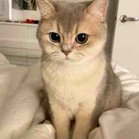 แอด Key:)🗝️