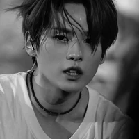 lee know/minho