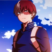 Shoto Todoroki/A.P.D/