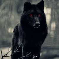 Eduardo (Transformação de Lobo)
