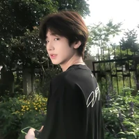เฟยหลง