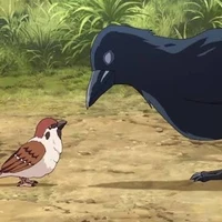 อีกา