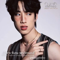 เจ้าชาย ชันรณ จตุรภัทรนฤบดี