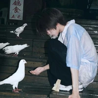Yan Zhong ☯️