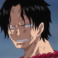 potgas D. ace