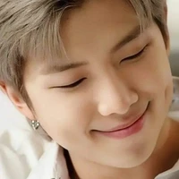 Kim namjoon (alpha)