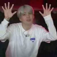 author =_= beauty knight