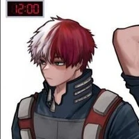 Todoroki Shoto //Pro-Hero 3//