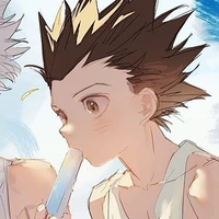 Gon Freecss