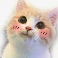 บีม
