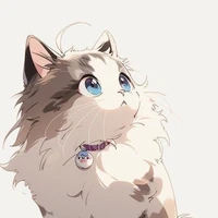 kian [kucing]
