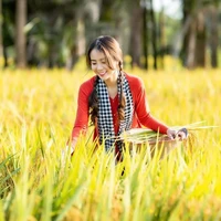 มีนา (นนอ.)