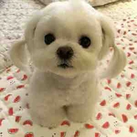 พิงค์ [หมาดื้อ]