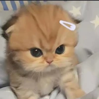 ^•^