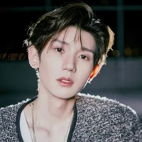 ดาวเหนือ