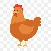 ไก่