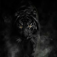 🥩เดวิด{เสือดำ}{ธาตุมืด}🐯⚫