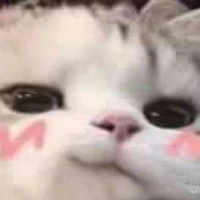 แอดมิน