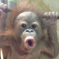 แอด
