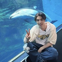 seo johnny
